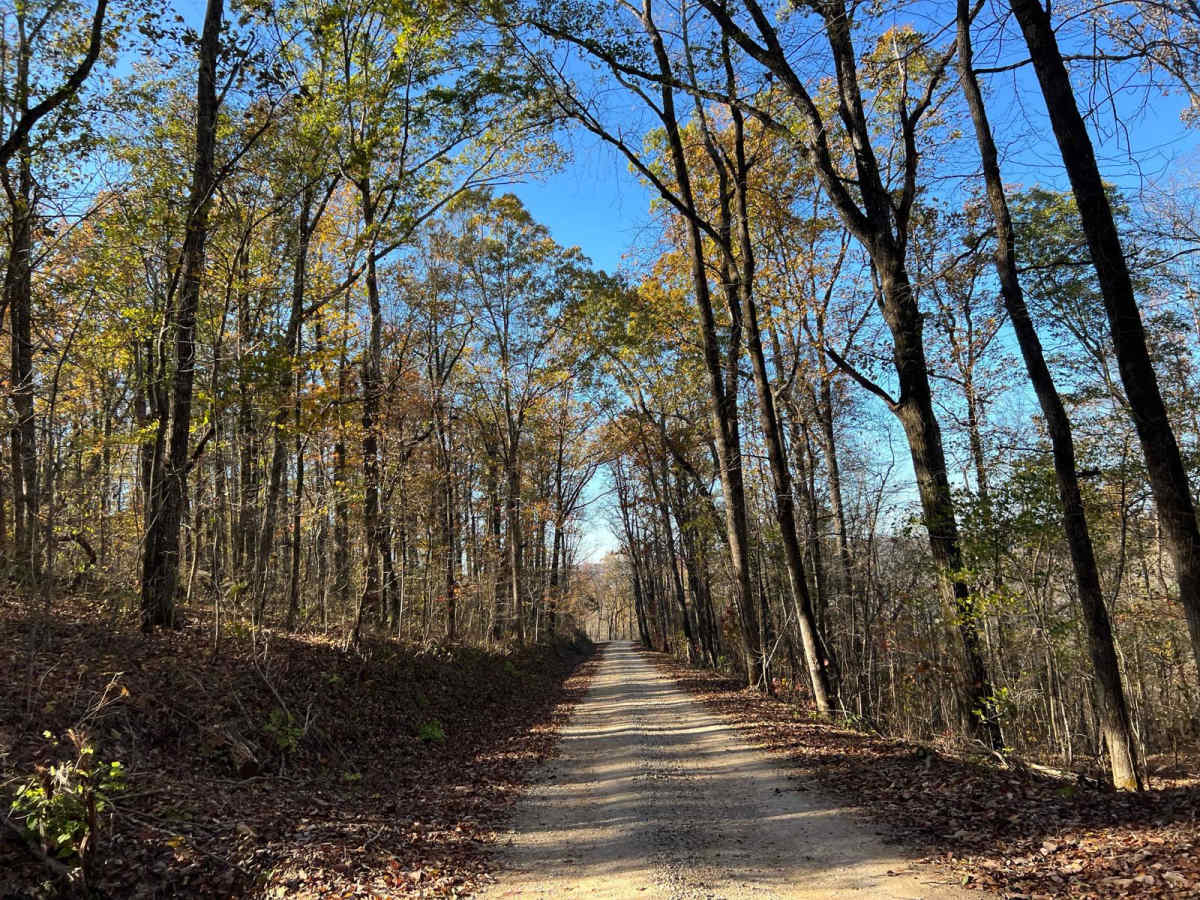 Northwest Road - FS 208 EA photo 6