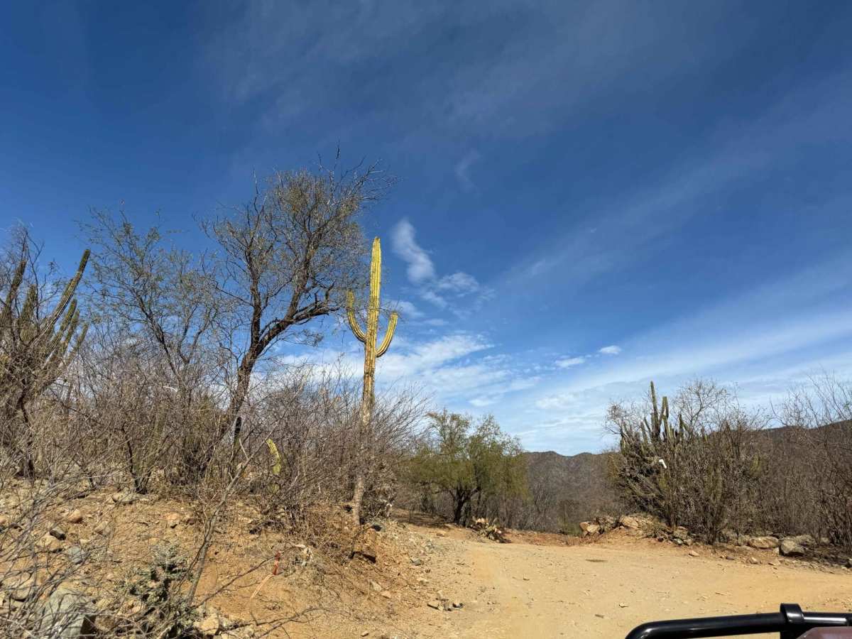 El Rosario Cutoff photo 5