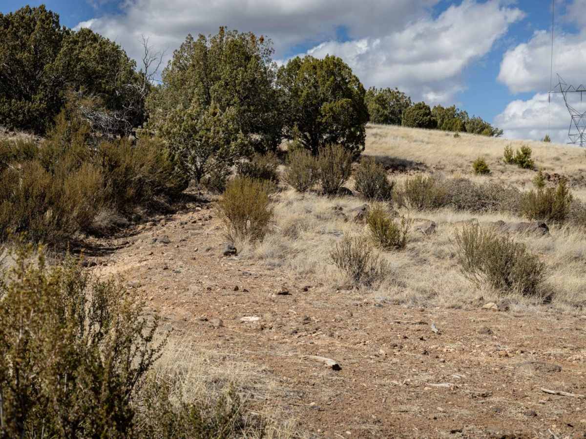 Powerline Problem trail photo