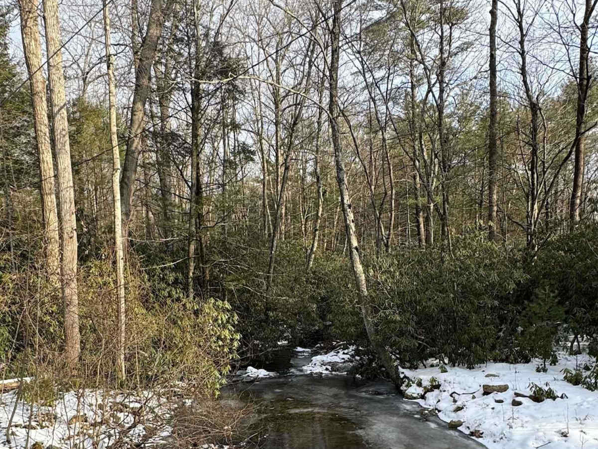 Brandon Road photo 3