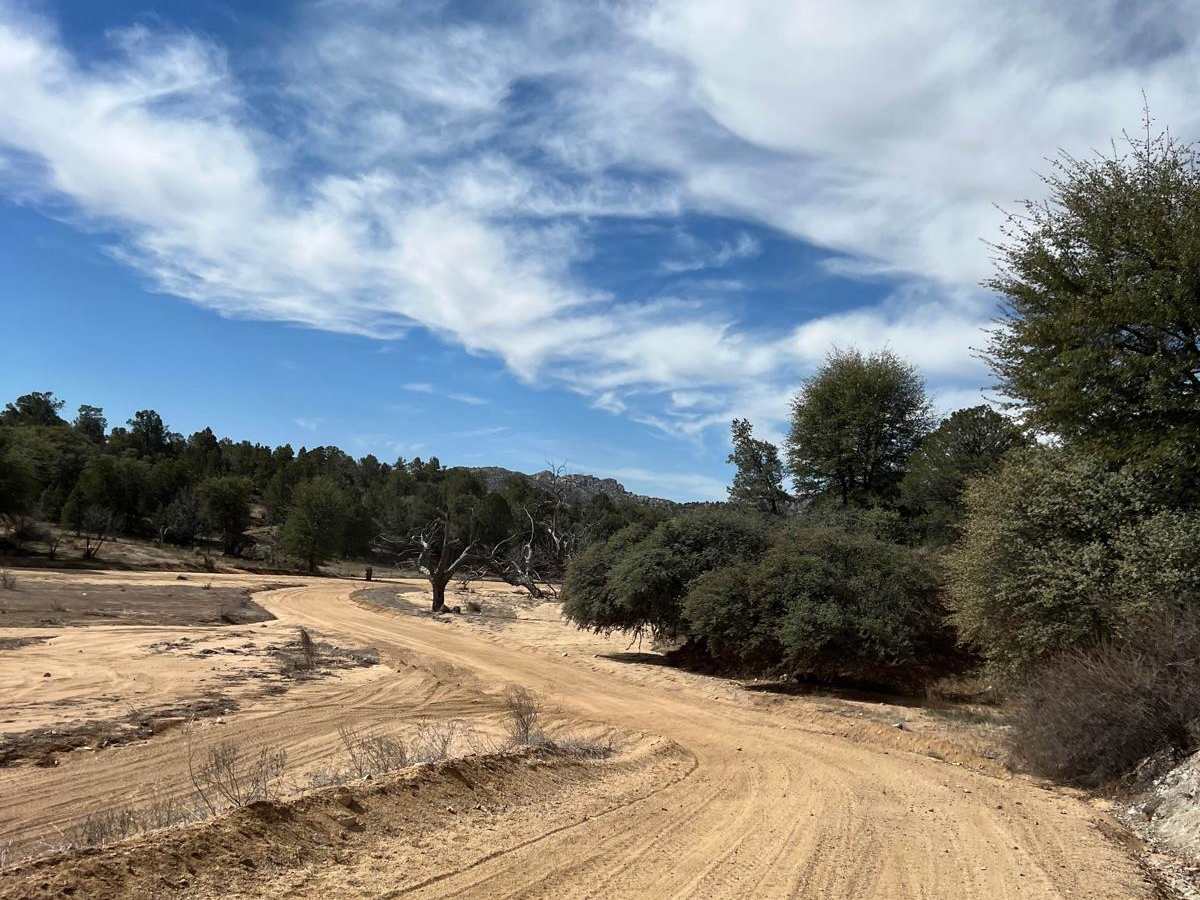 Upper Gold Gulch trail photo