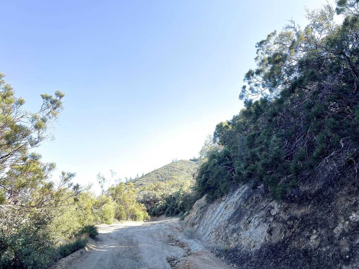 Red Mountain OHV Trail photo 4