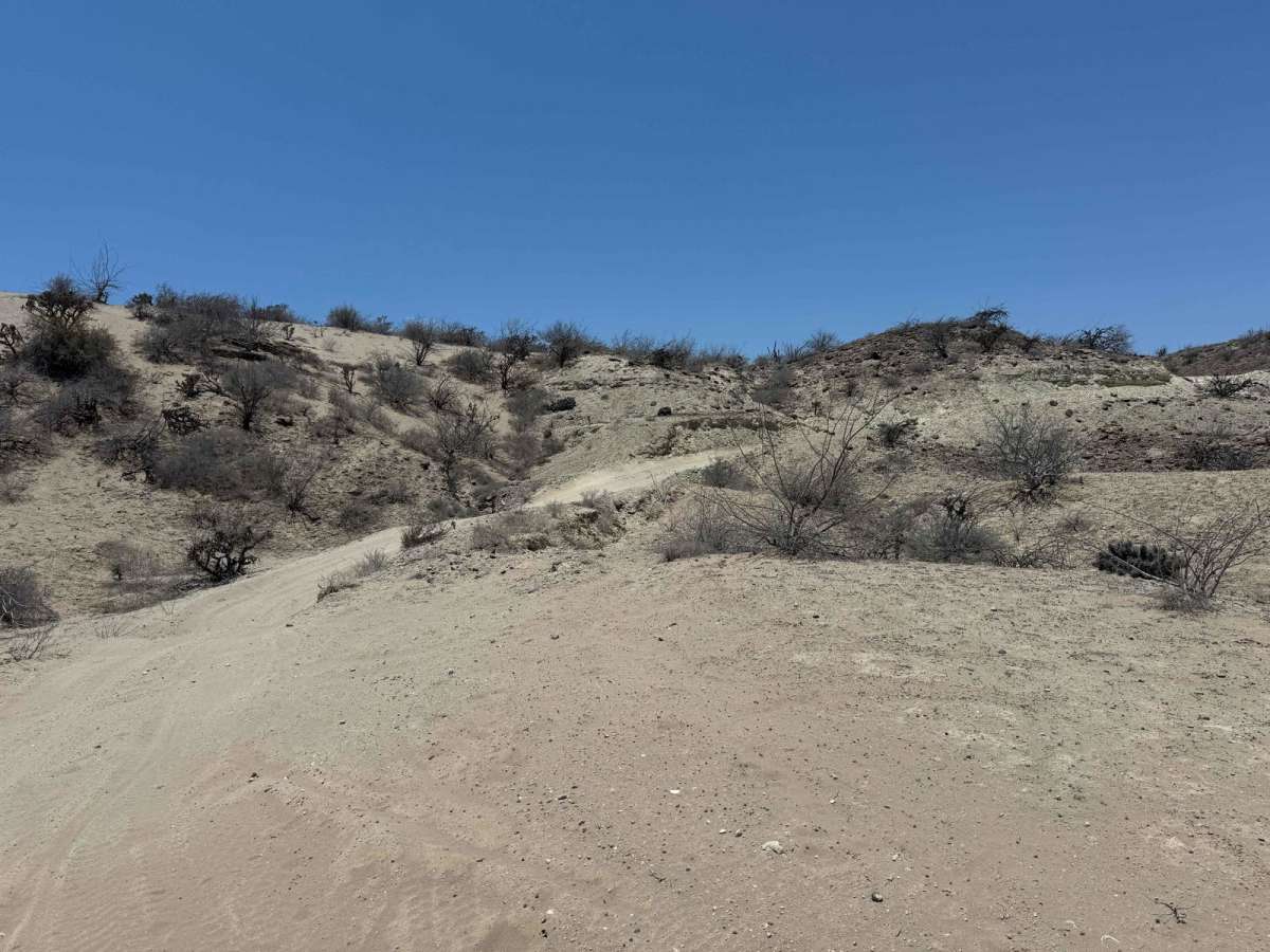 North Road Cutoff photo 4