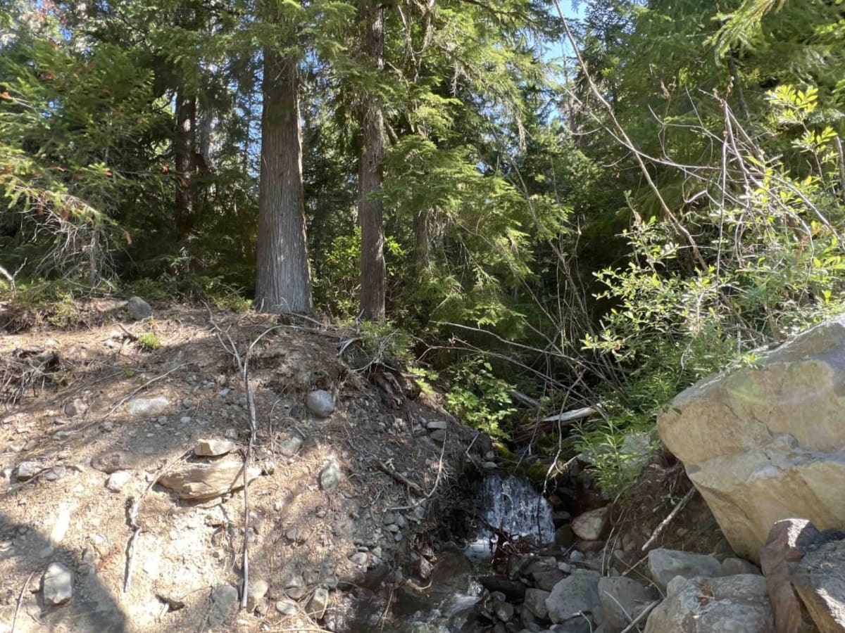 Fisher Point 1164 photo 3