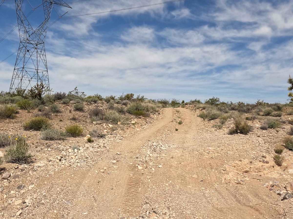 Powerline Road photo 4