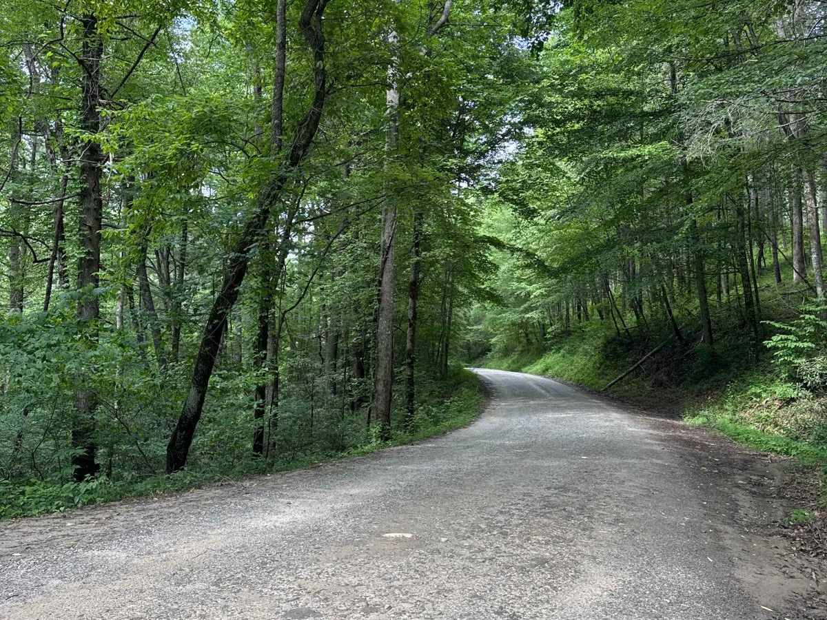 Rock Creek Road - FS 69 trail photo