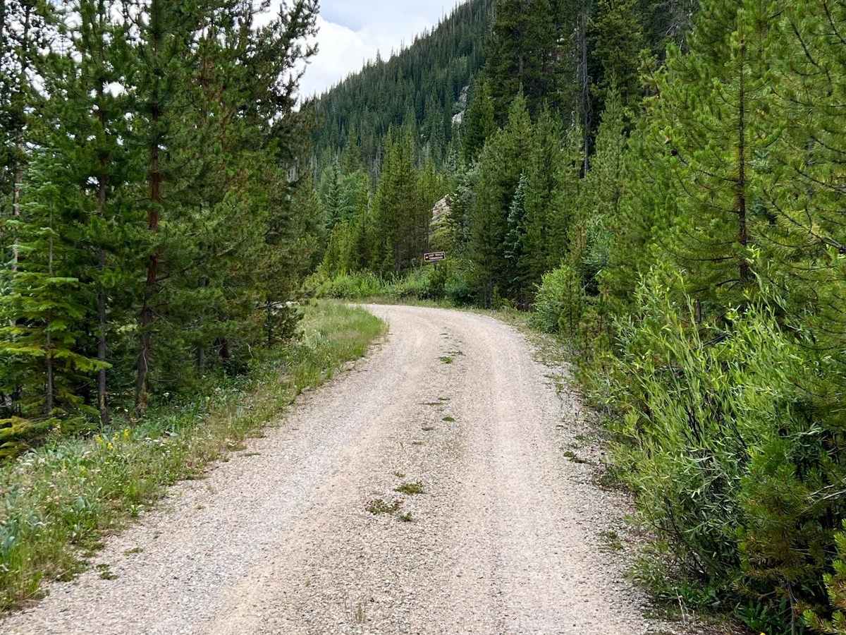 South Fork Road - FS 142.1 photo 6