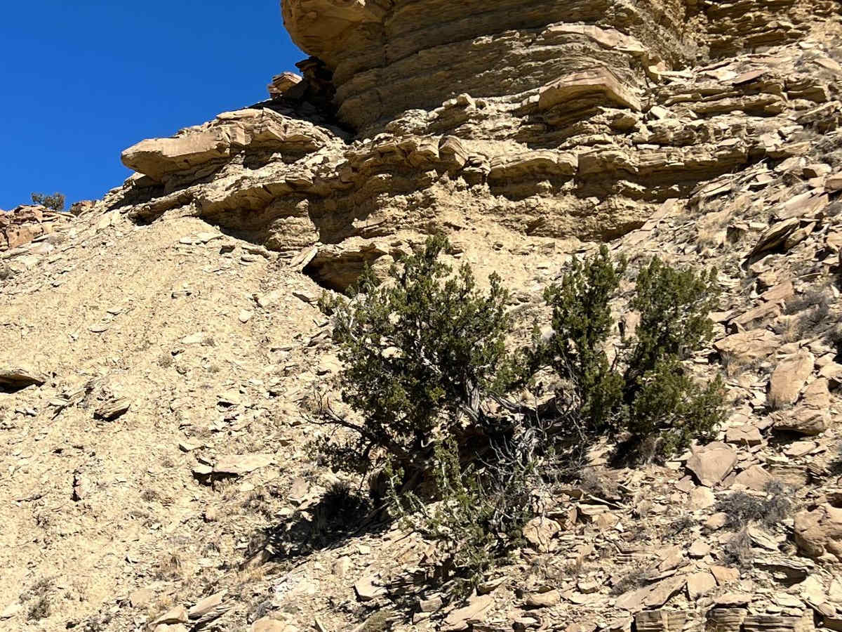 Wilderness Study Areas photo 4