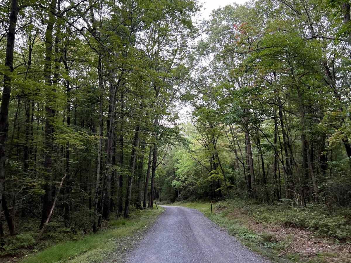 White Oak Ramble photo 4