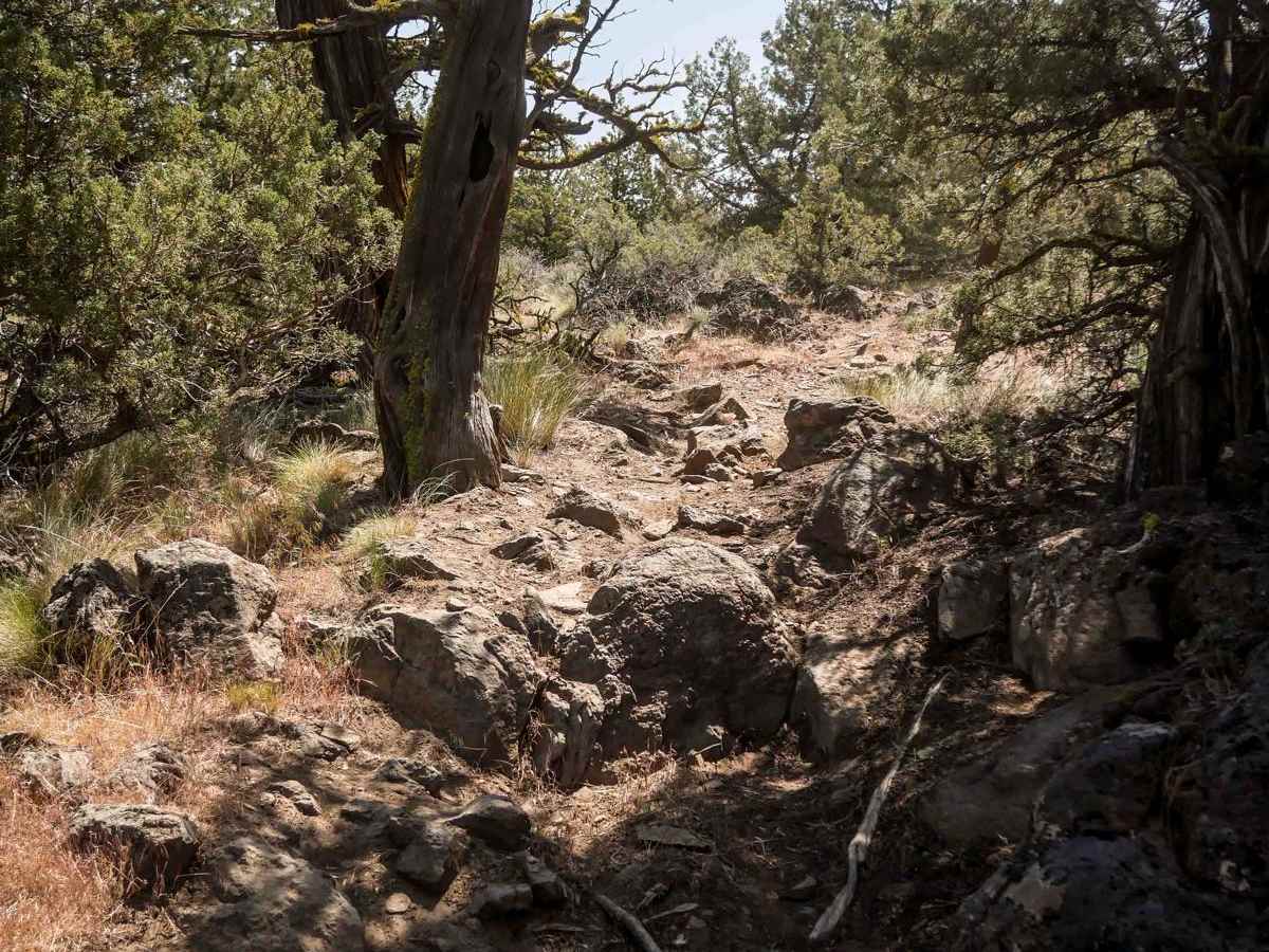 45 trail photo