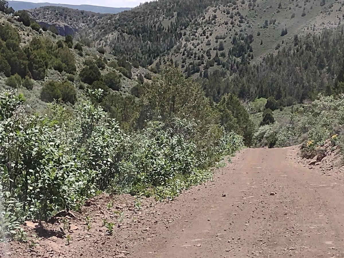 Pole Canyon Road photo 3