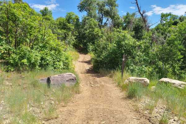 Sugar Creek