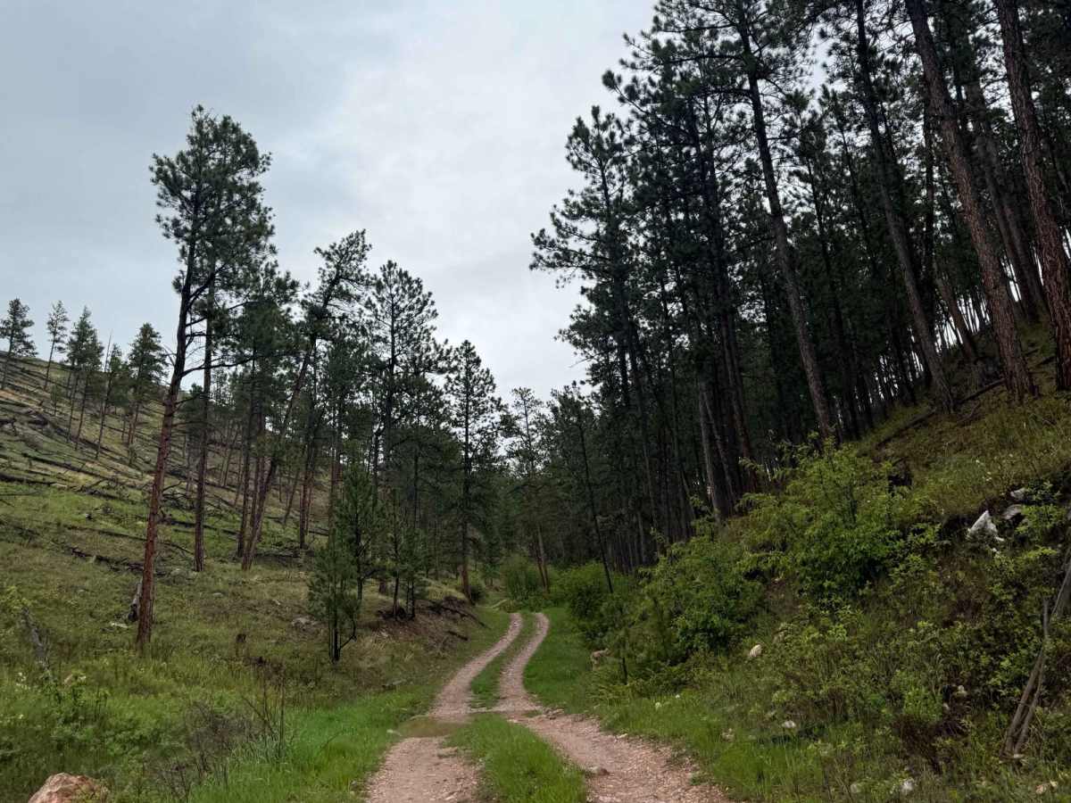 Barrel Springs Br 2B photo 5