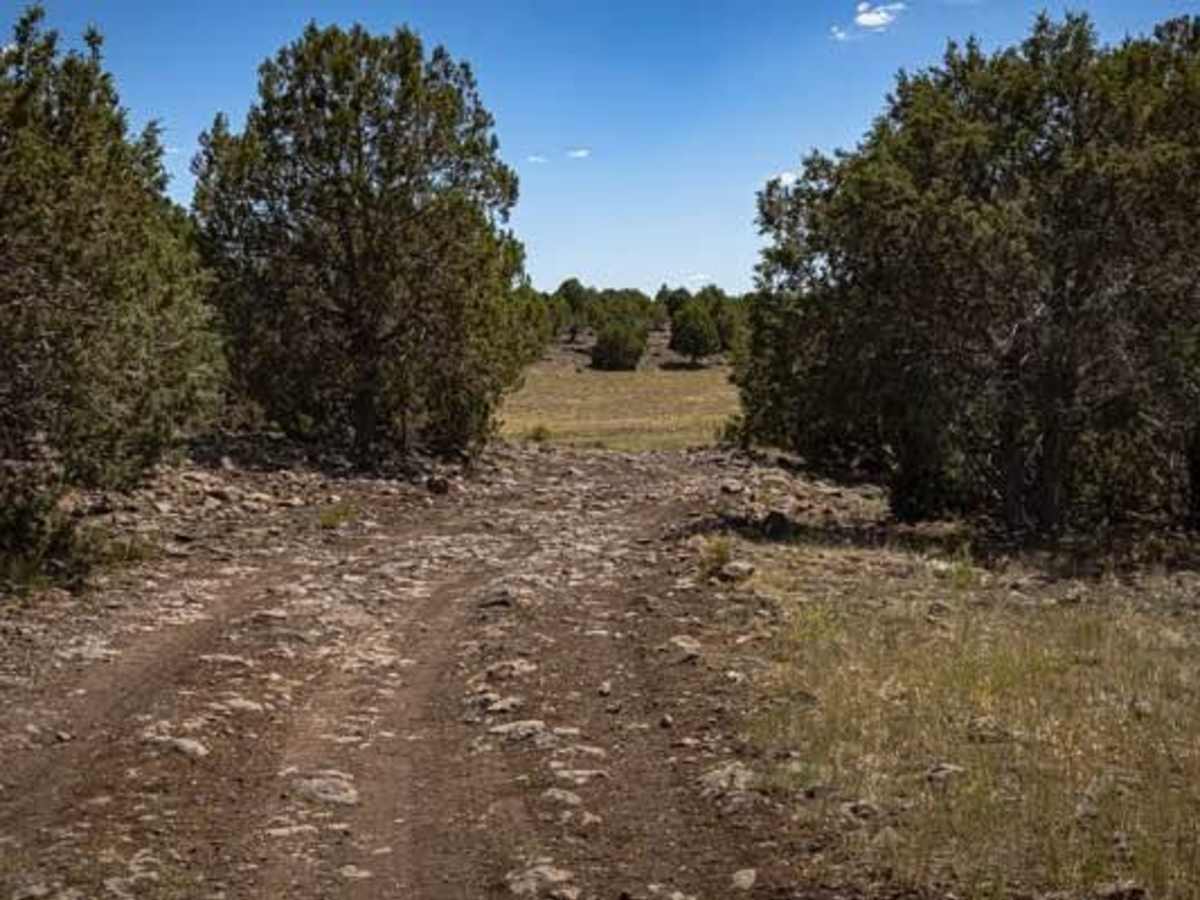 Antelope Loop photo 3