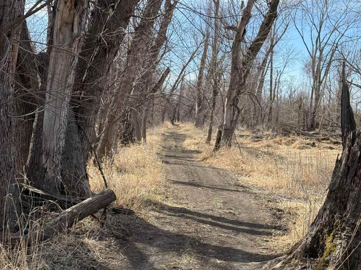 Dike Trail photo 4