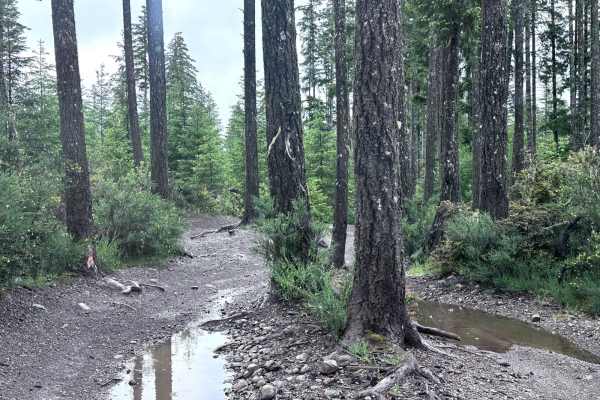 Low Road Trail