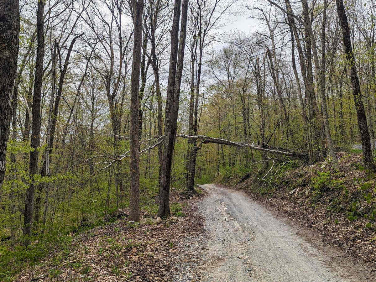 County Road photo 3