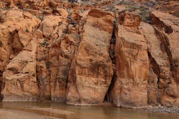 Red Cliffs Rec Area to Virgin River
