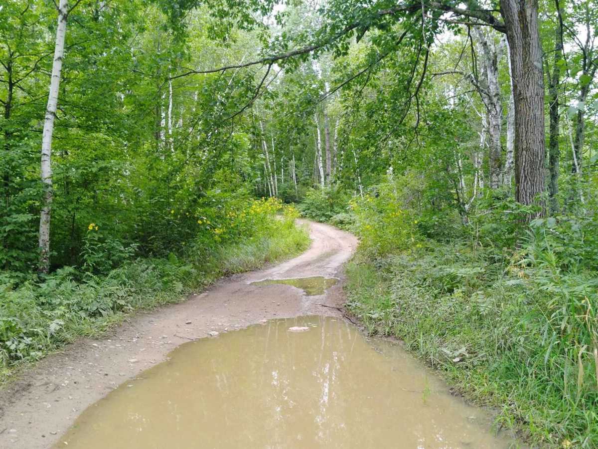 Cedar Lake Loop photo 4