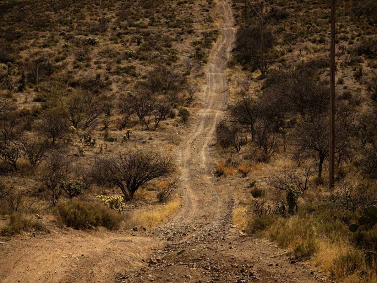 Gasline Trail photo 6