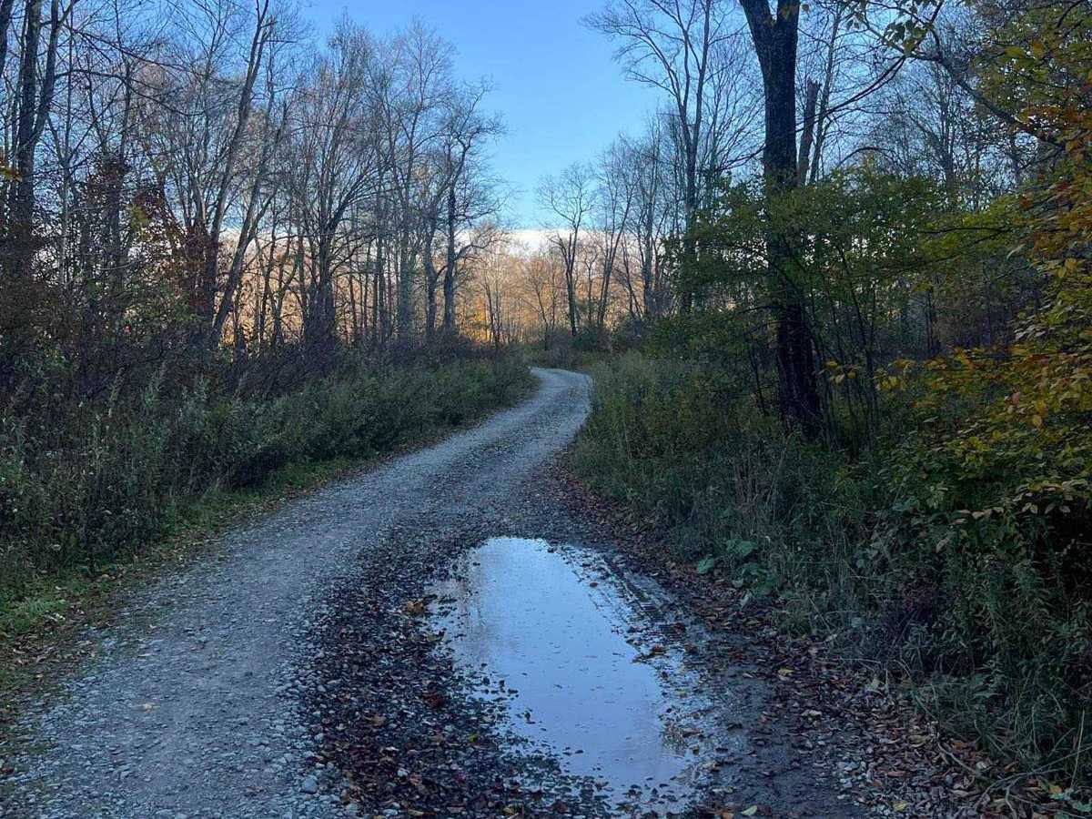 Plank Road photo 5