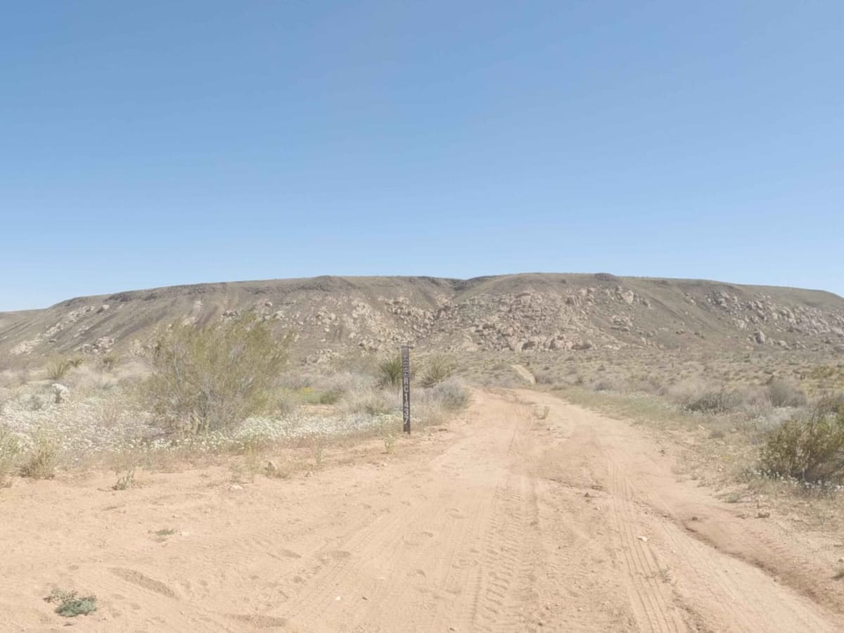 BLM C1418 photo 3