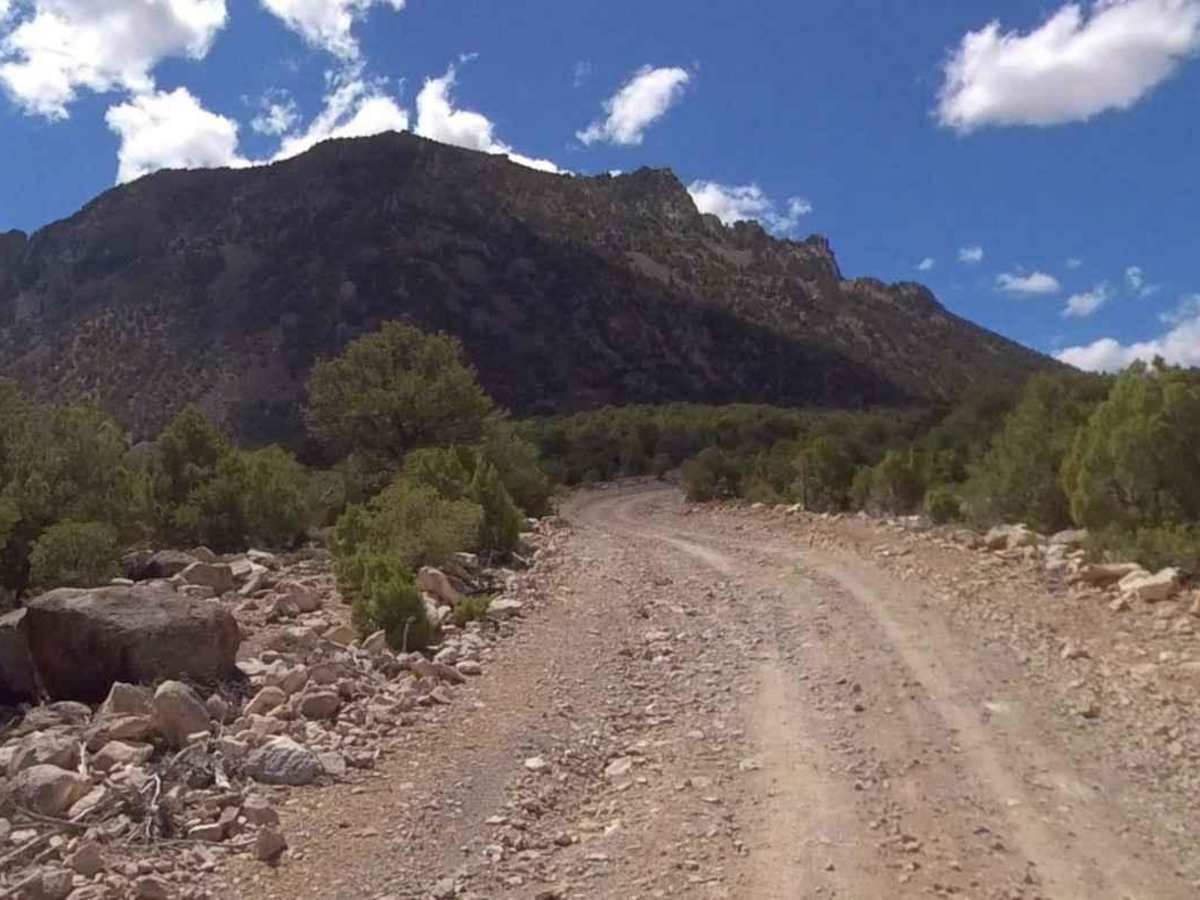 Fairview Ranch - Lonesome Beaver Rd trail photo