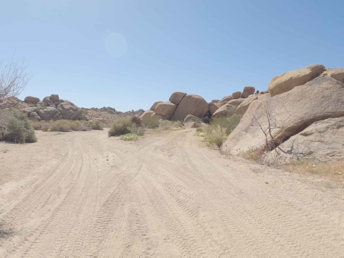 BLM C1418 photo 2