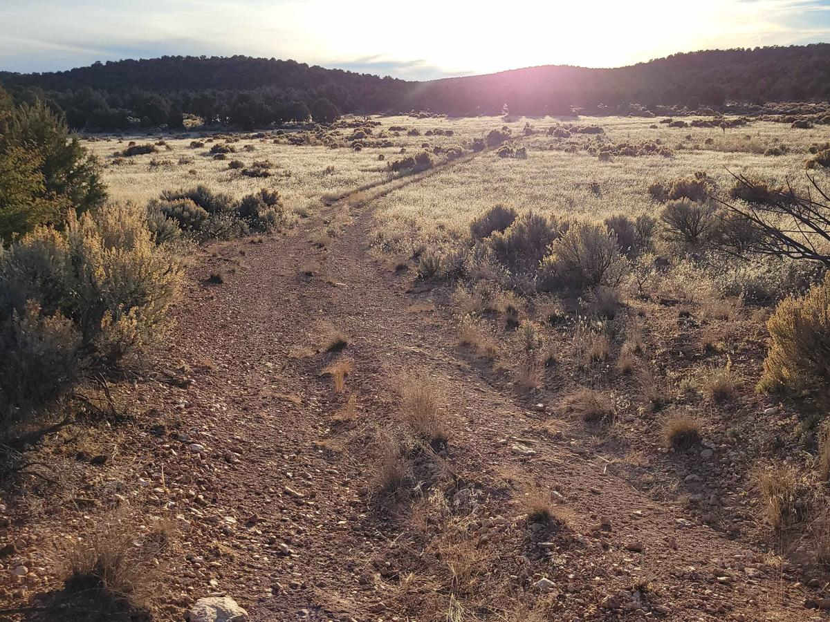 BLM 1059a photo 5