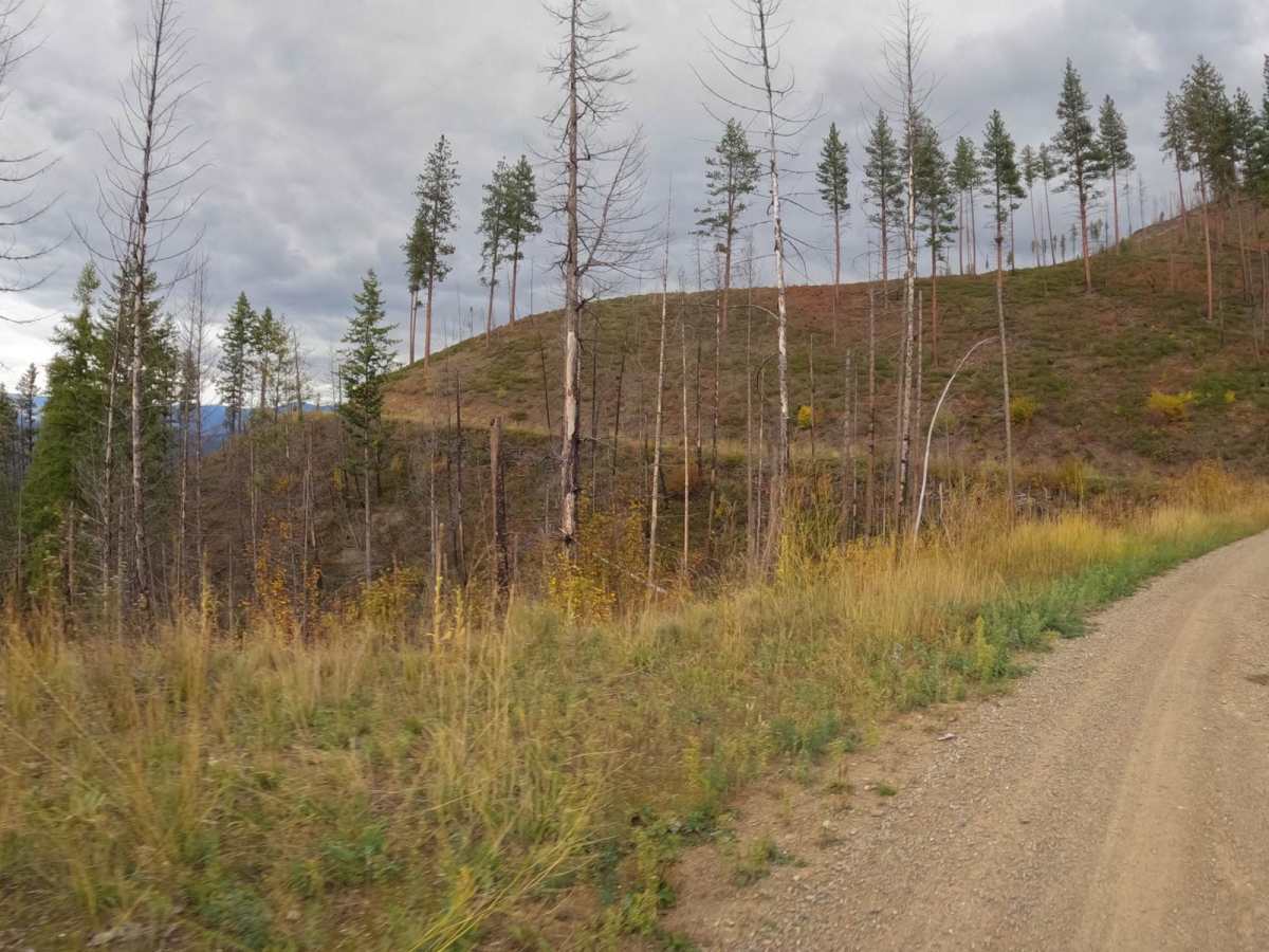 Saint Pats Road-Cyr Iron Mountain Road photo 3