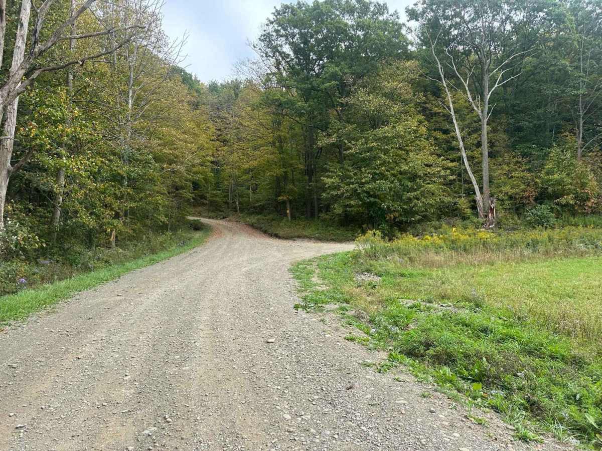 Sweeney/Ford Road photo 5