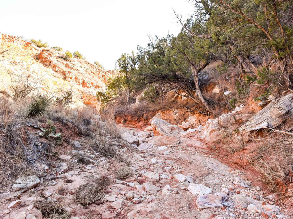 Bergflow Section 1 photo 6