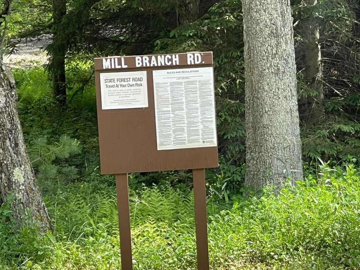 Mill Branch Road trail photo