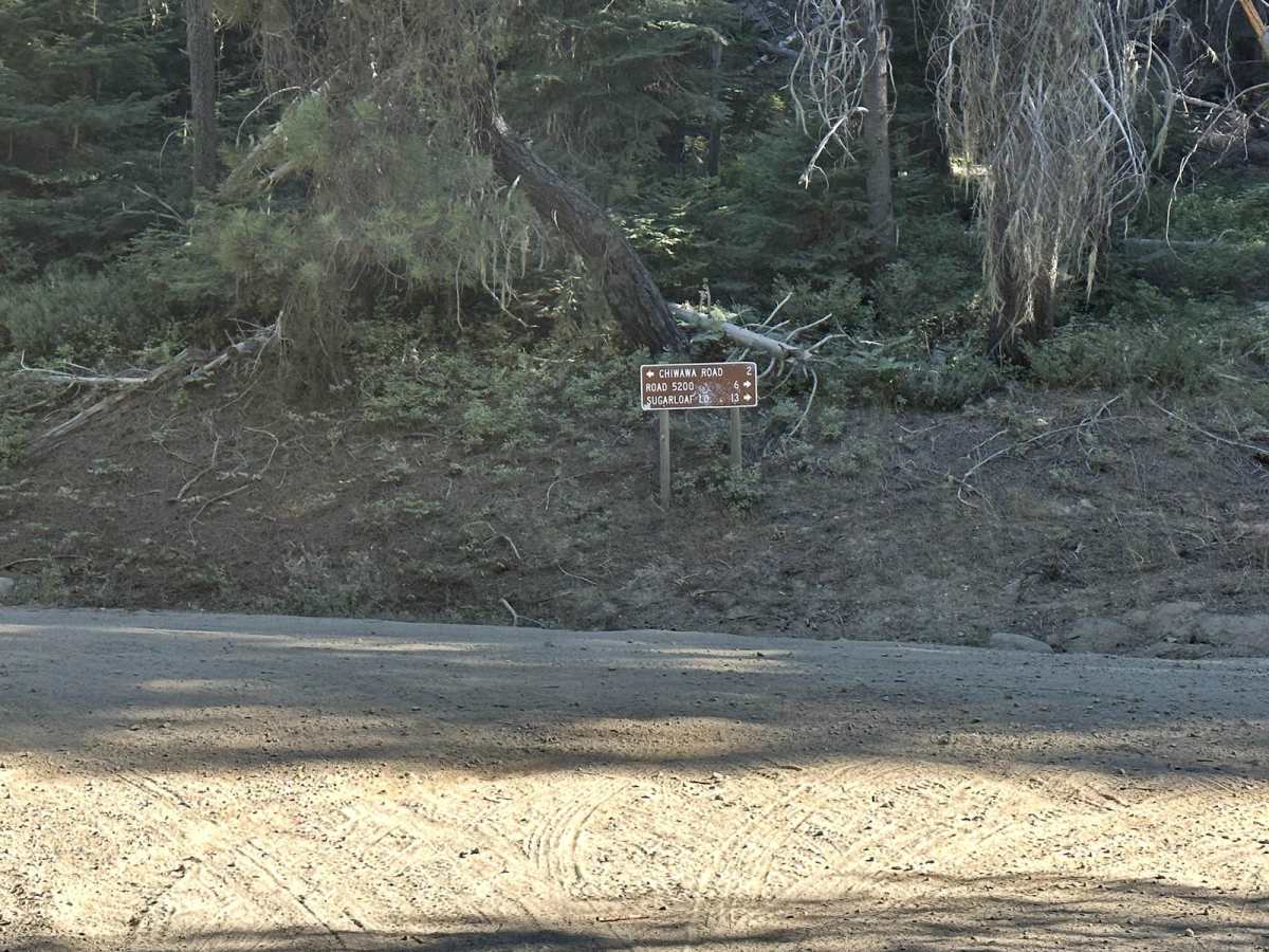 Lower Chiwawa River Road photo 2