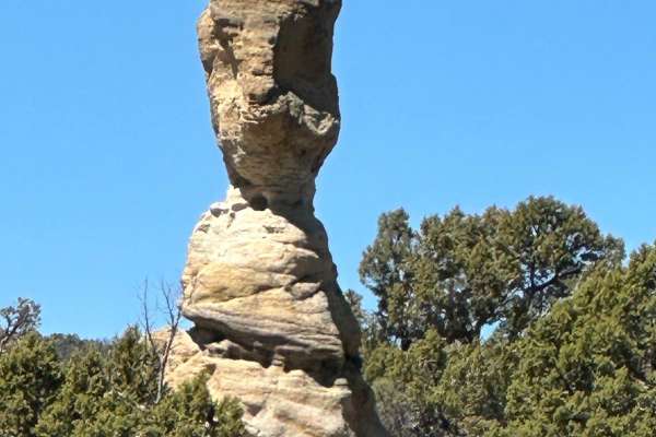 Rock Garden
