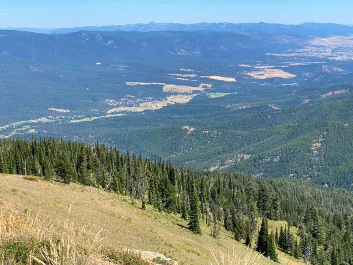 Nemote Creek to Stark Lookout photo 3