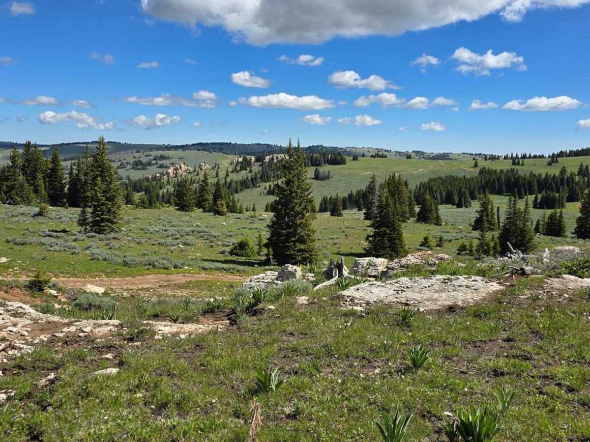 Copmans Tomb - Grouse Creek (Trails 216 & 219) photo 2