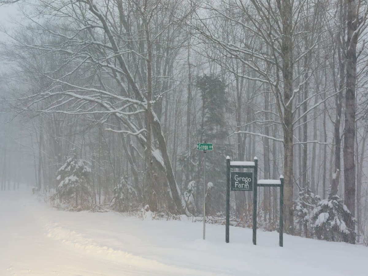 Covered Drive photo 3