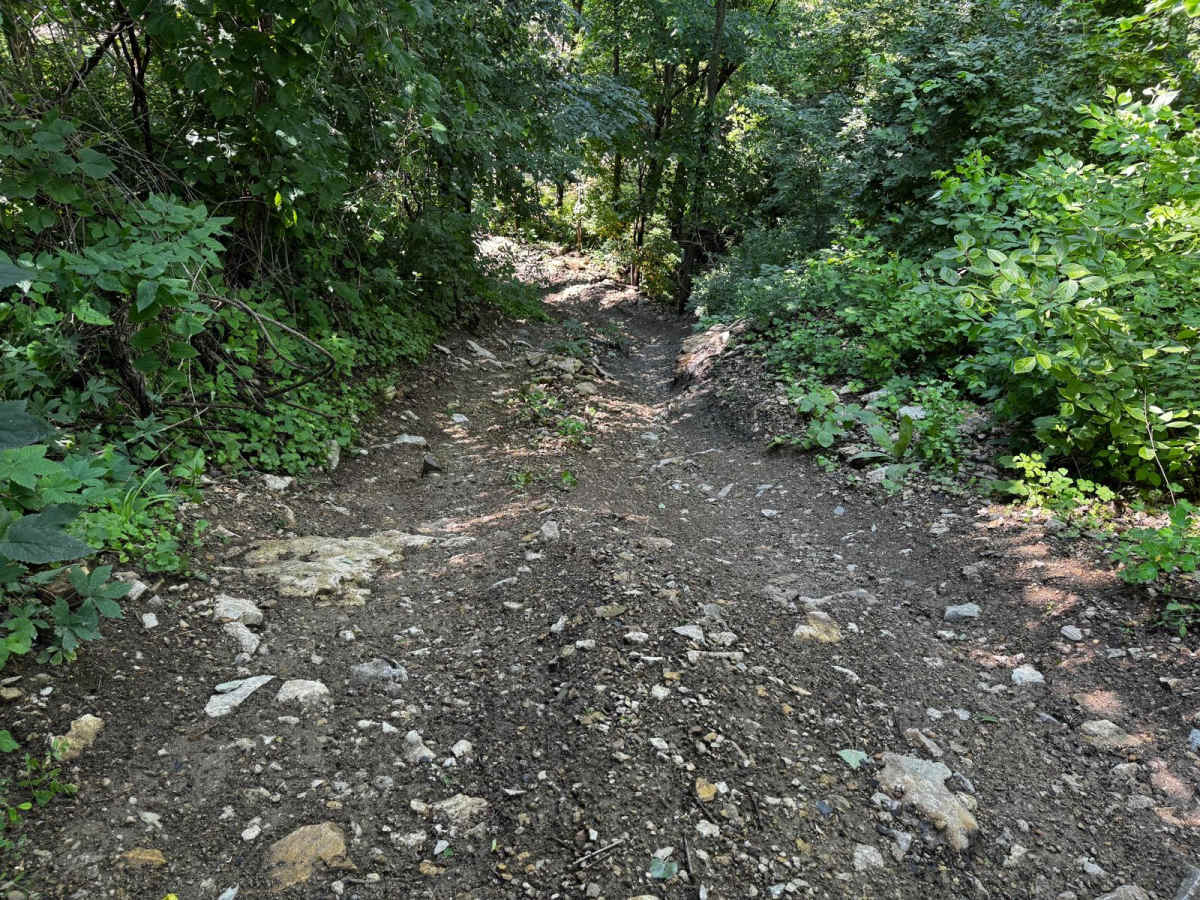 V Notch 207 photo 4
