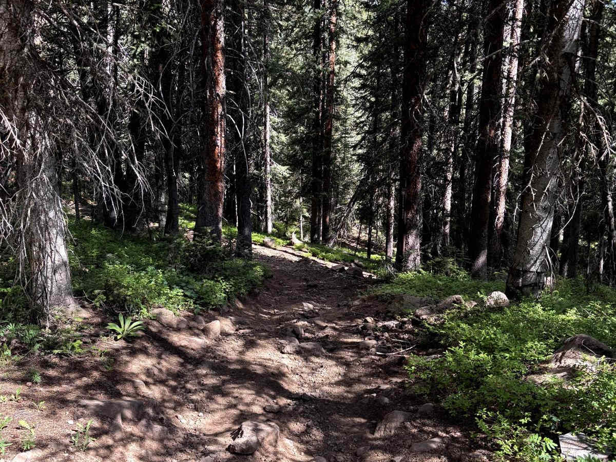 Greenwood Trail photo 3