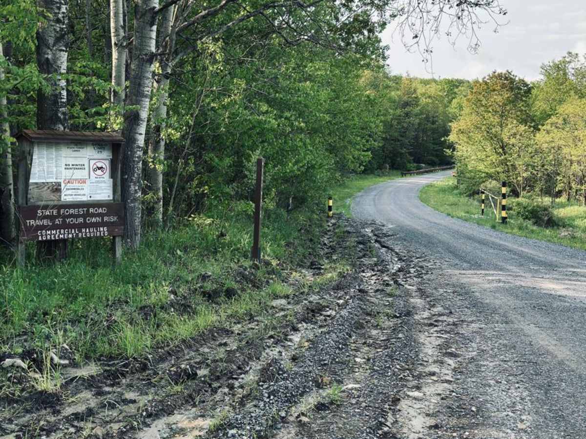 Strip Mine Road/Pot Ridge Road trail photo