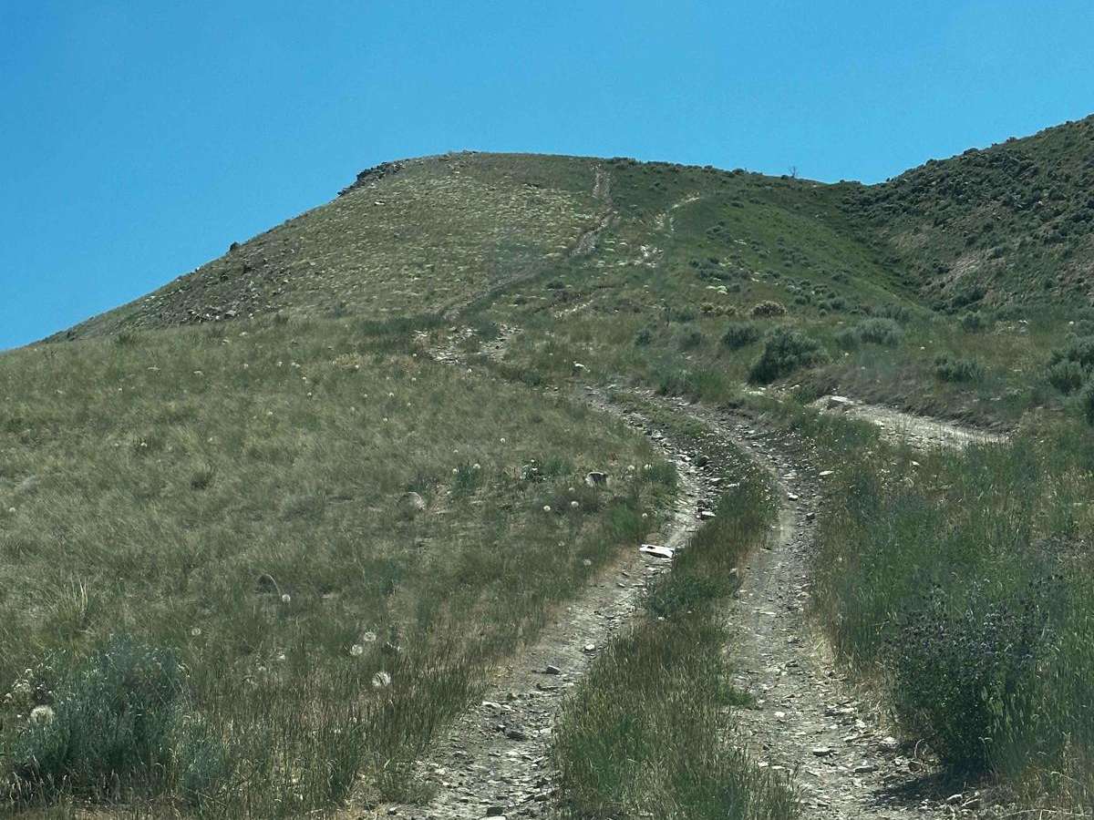 West Crest photo 3