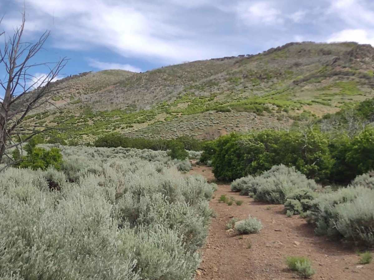 Smith Canyon Access (FS# 41190) photo 5
