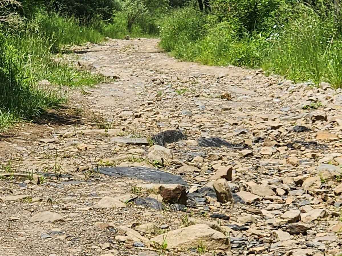 Eastern Flats Road - Rock Run Recreation photo 6