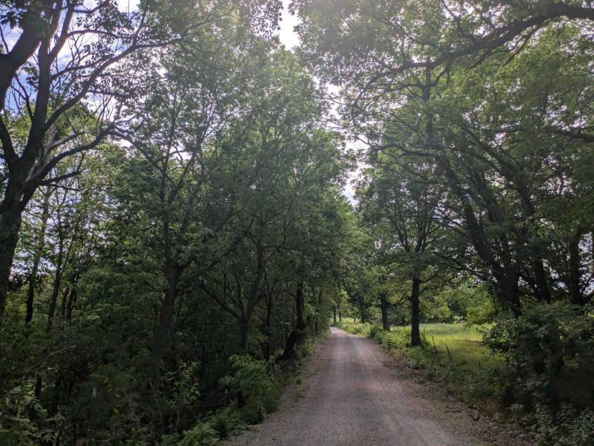 E0558 trail photo