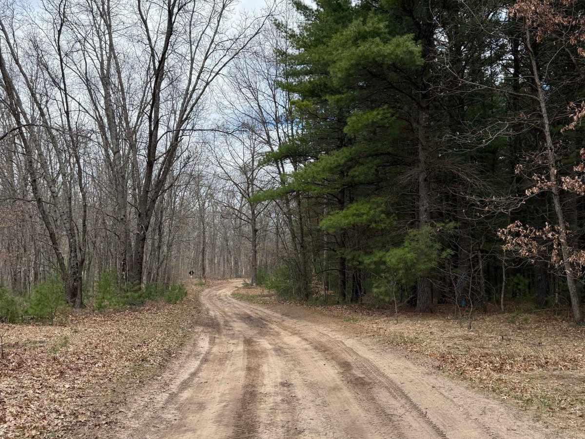 NFS 5485 trail photo
