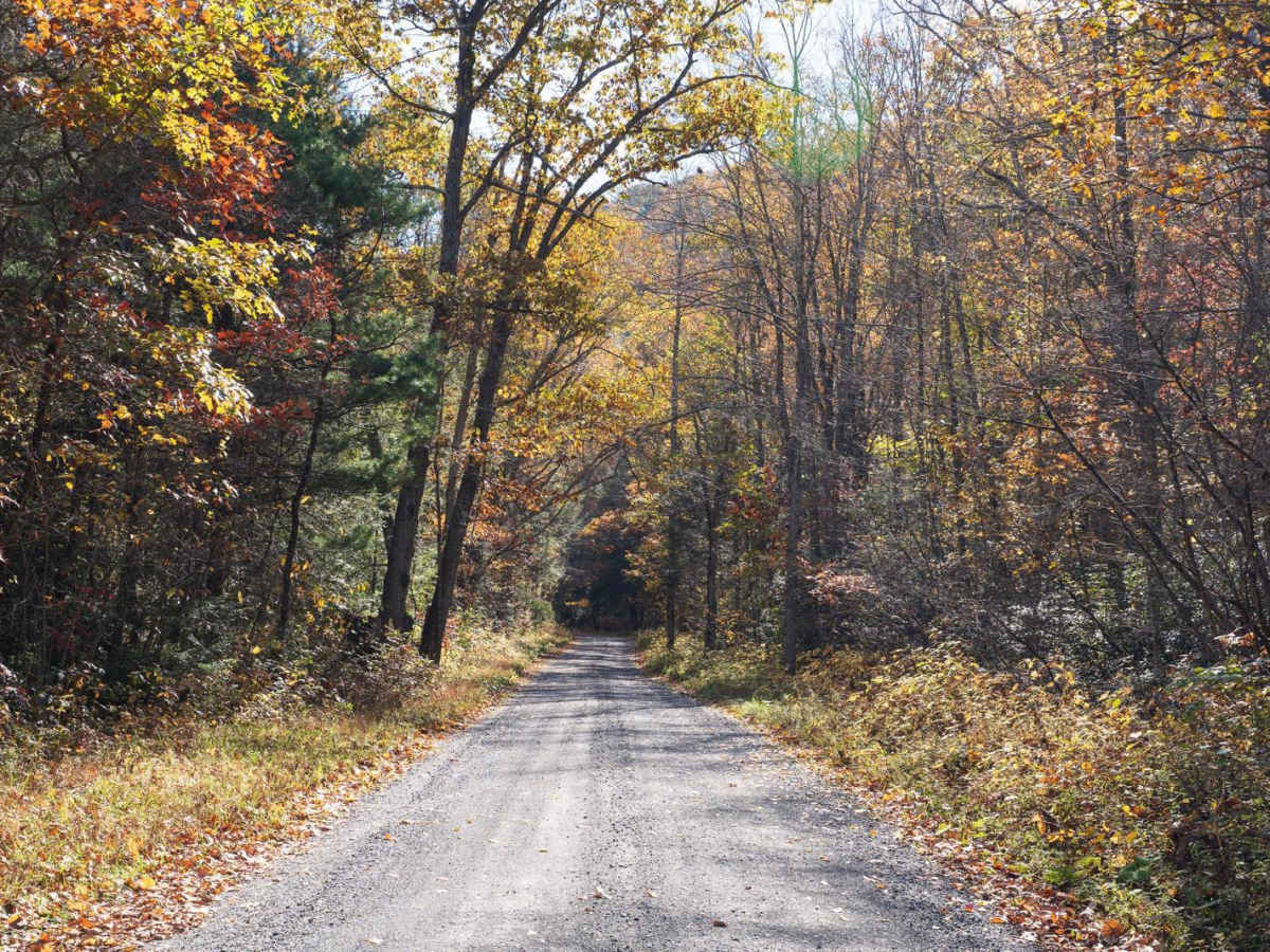 Six Mile Run Road photo 4