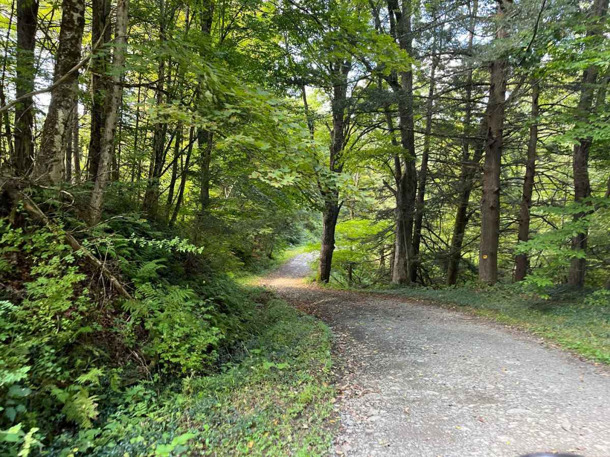 Carter Creek Road photo 5