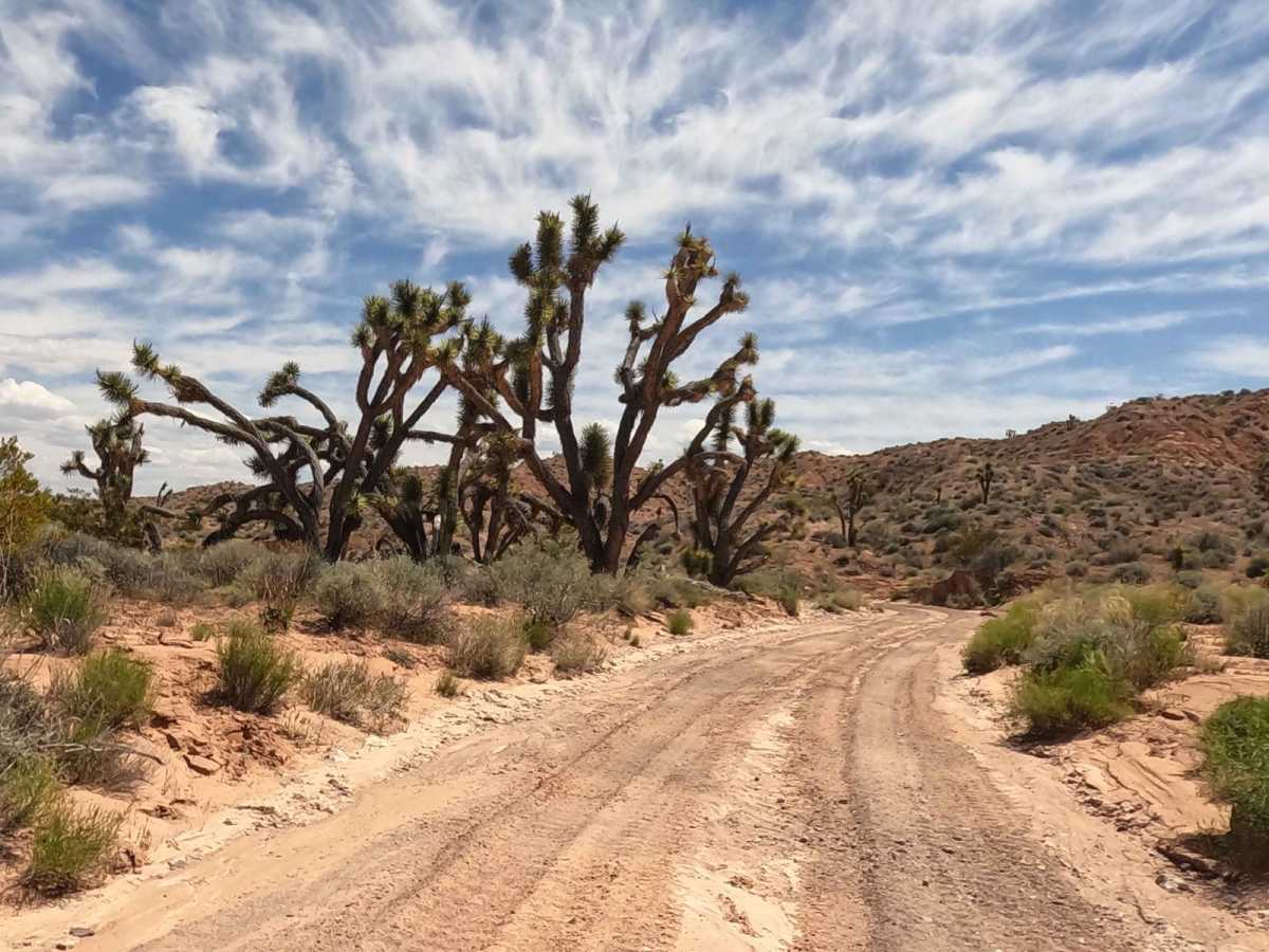 Davidson Wash trail photo
