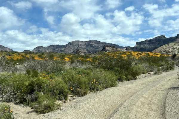Buck Wash to Pass Canyon Connector